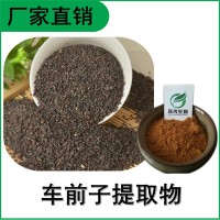 森冉生物 車前子提取物 車前實提取物 比例提取原料粉